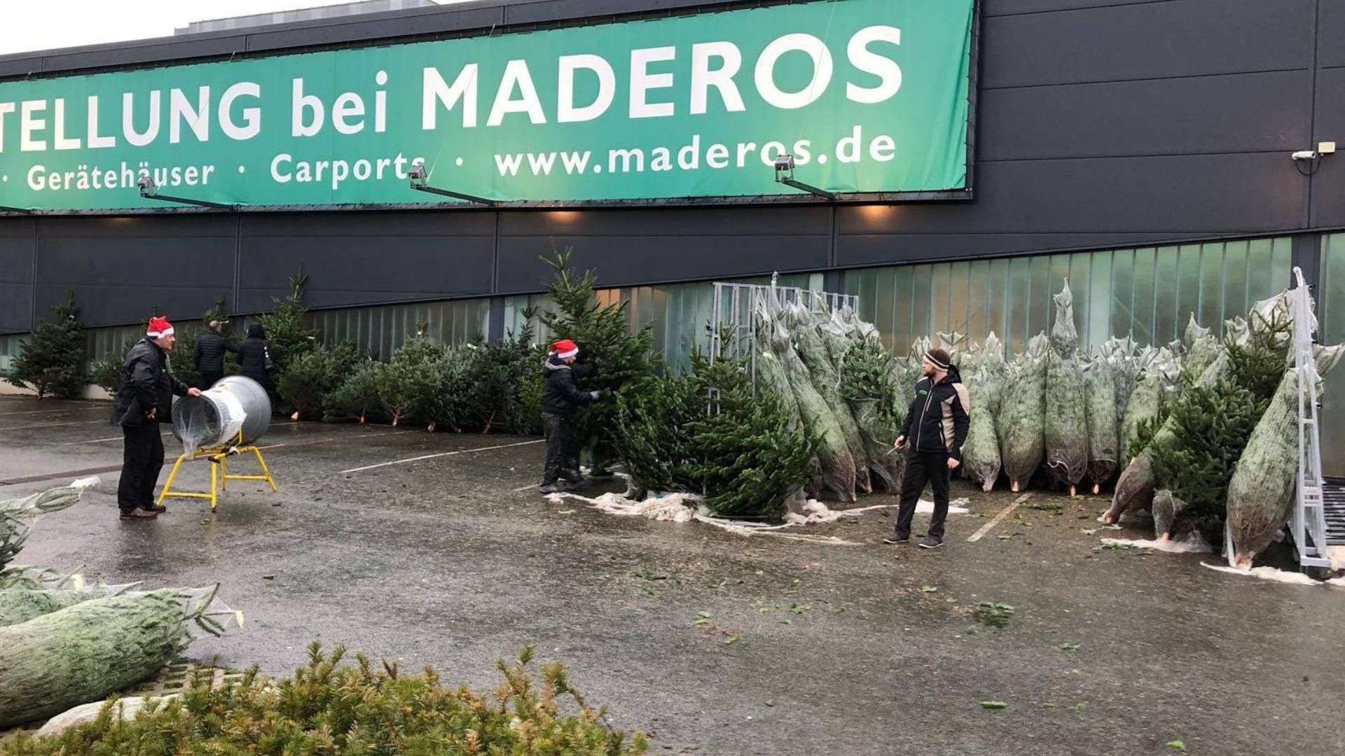 viele Tannenbäume vor der Ausstellung von Maderos in Rosengarten/Nenndorf