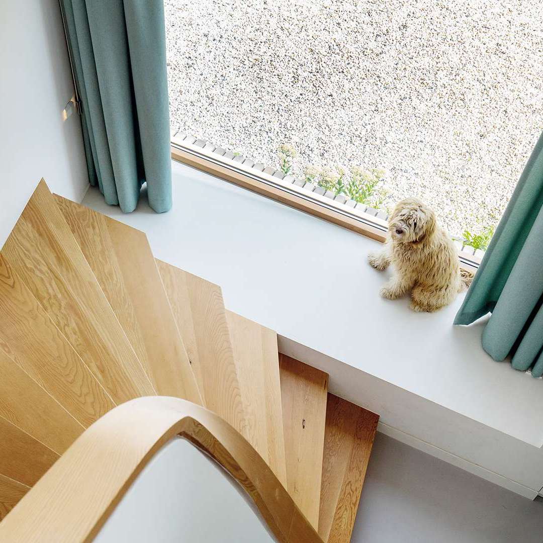 Blick von oben auf eine Treppe runter, wo Hunden auf der Fensterbank ein Hund sitzt