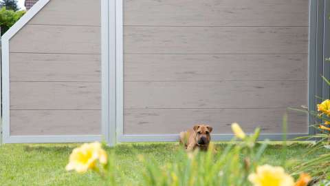 Windsichtschutz-Wand vor der ein Hund sitzt