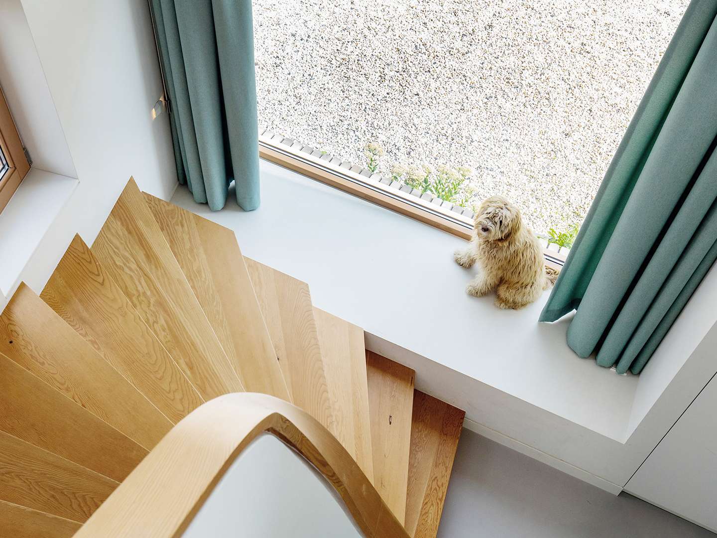Blick von oben auf eine Treppe runter, wo Hunden auf der Fensterbank ein Hund sitzt